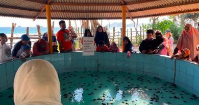 Pertamina Patra Niaga Perkuat Komitmen Keanekaragaman Hayati melalui Program Ibu Kota Penyu