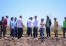 Wabup Belu tanam Bawang Lokananta di Fatuketi, Peluang Tingkatkan Ekonomi Petani