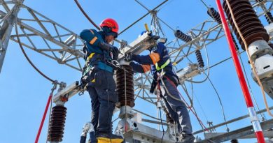 PLN Amankan Pasokan Listrik GI Borong Lewat Pemeliharaan Berkala dan Pengaman Satwa